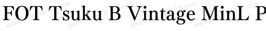FOT Tsuku B Vintage MinL Pro字体转换